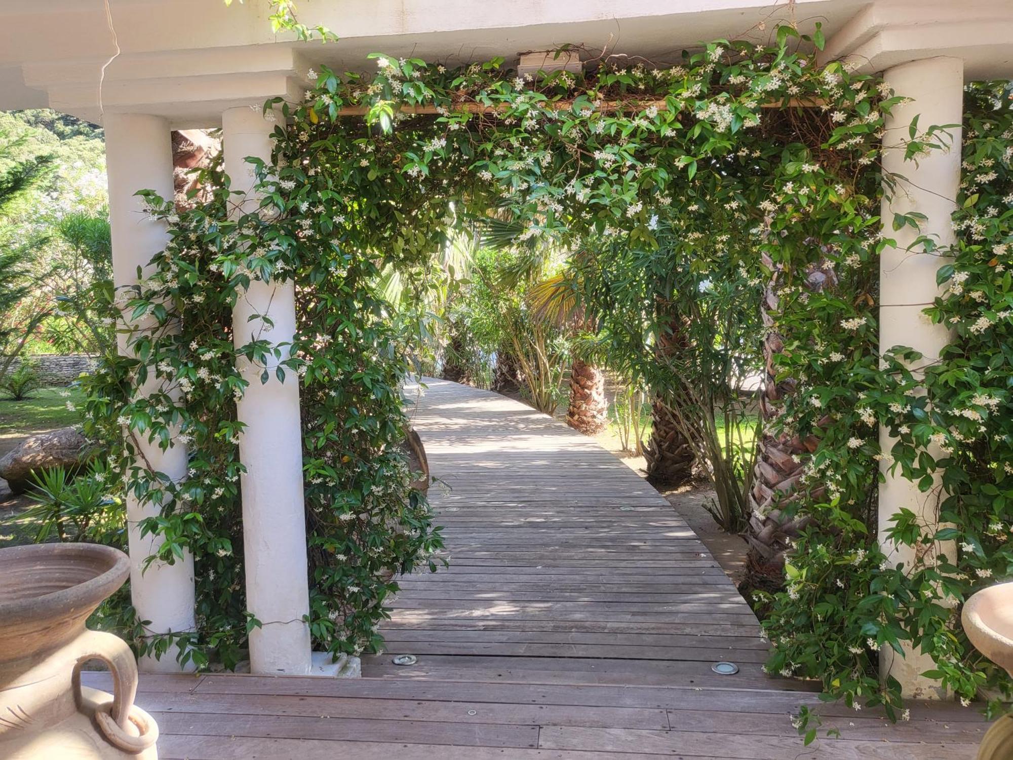 Villa Petra Bianca Suite & Chambre A 10Mn A Pied Du Port De Bonifacio 博尼法乔 外观 照片